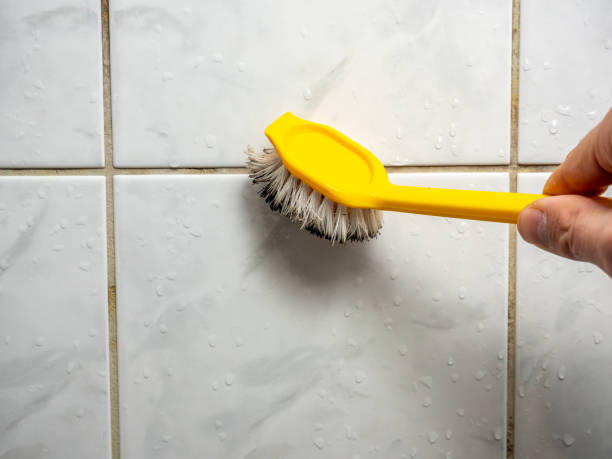 Home Mold Removal in New Lenox, IL