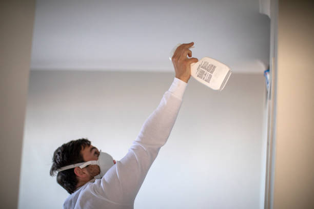 Best Mold Damage Repair  in New Lenox, IL