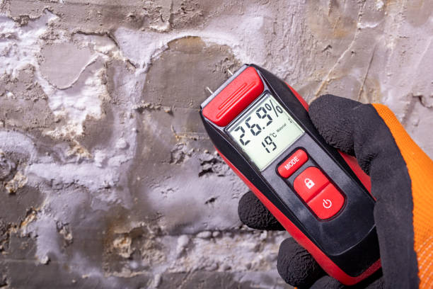 Best Fast Mold Removal  in New Lenox, IL