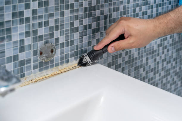 Professional Mold Removal in New Lenox, IL