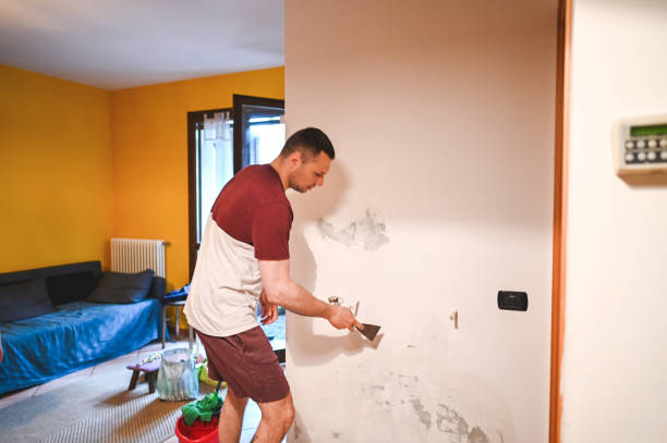 Best Professional Mold Removal  in New Lenox, IL